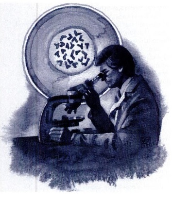 Про спадковість псоріазу